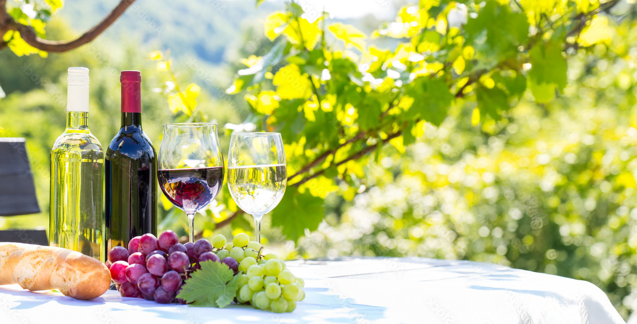 コンセプトの紹介